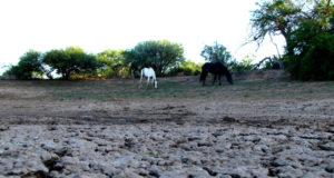 Los parajes Santa Rita y El Valle piden ayuda porque no tienen agua