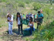 Liberaron en San Luis a un águila mora y cinco reinas mora después de una rehabilitación