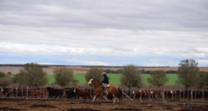 San Luis: convocan a productores que aún no cumplieron con el Censo Nacional Agropecuario