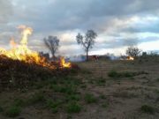 San Luis: multas desde $10.700 hasta $10.700.000 para quienes inicien fuego