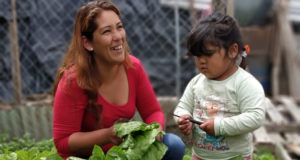El municipio de Villa Mercedes presentará el plan “Sembrando para mi familia”