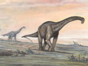 Mendoza: nueva hipótesis sobre el paso de los dinosaurios gigantes