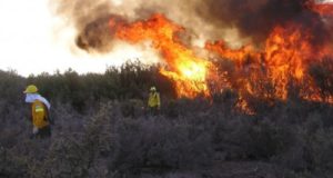 Rige en San Luis una veda total para quemas en toda la provincia