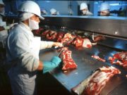 Apertura de EEUU para la carne argentina: un nuevo logro del trabajo público-privado