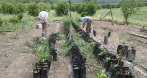 Se realizó la segunda Reunión Regional de Cuyo del Consejo Federal Agropecuario