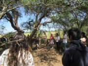 Villa Mercedes: biodiversidad nativa en la escuela agrotécnica «Luis Luco»