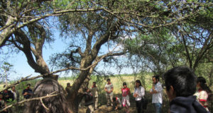 Villa Mercedes: biodiversidad nativa en la escuela agrotécnica «Luis Luco»
