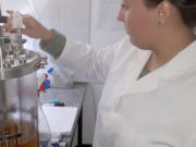 Investigadores lograron producir biocombustible con suero de queso