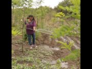 Un desarrollo del INTA Concarán permite a familias rurales acceder al agua con bombas sumergibles solares