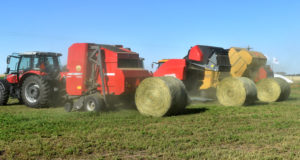 Alfalfa: la eficiencia hídrica y los nutrientes, clave en la producción a escala