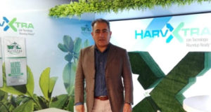 La alfalfa HarvXtra® saldrá al mercado en Argentina en el otoño de 2019