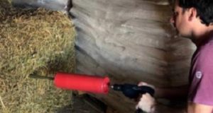Elaboran protocolo para evaluar la calidad del heno de alfalfa