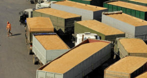 Muy baja liquidación del agro en noviembre