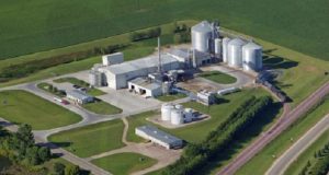 La industria del biodiésel se queda sin mercados