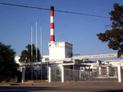 Nestlé analiza comprar empresas en Brasil y Argentina