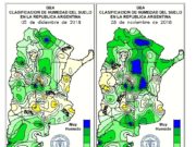 Informe de la Bolsa de Comercio de Rosario: Preocupa el estado de las sojas implantadas