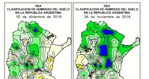 Informe de la Bolsa de Comercio de Rosario: Preocupa el estado de las sojas implantadas