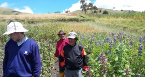 INTA participa de una cooperación internacional con Ecuador