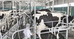La lechería, presión impositiva y dólar, en el “rojo” del semáforo publicado por Coninagro