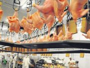 Minerva Foods busca comprar las plantas de pollo y cerdo de Quickfood