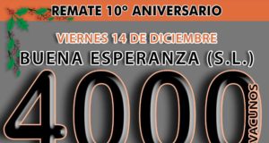 Mondino rematará 4000 vacunos en Buena Esperanza