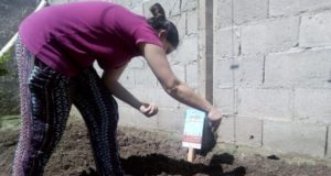 El Programa “Sembrando para mi Familia” cierra 2018 con más de 50 huertas en Villa Mercedes