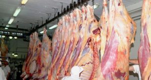 Informe CICCRA: cayó la faena vacuna durante noviembre