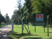 Denuncian conflicto de intereses en la conducción nacional de INTA