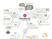 No sólo de Toro vive Fecovita. Apuesta por media y alta gama