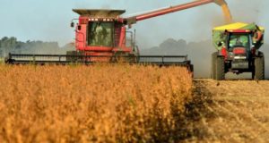 Las contingencias climáticas siguen bajando la expectativa sobre el trigo