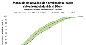 El precio de los granos gruesos bajo la incertidumbre de Estados Unidos y Brasil