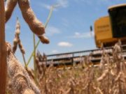 Las variaciones en política económica disminuyó la confianza de los productores