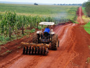 Para el BID los productores paraguayos despiertan más confianza que los nuestros
