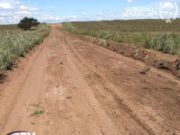 Repararon el tramo que une Martín de Loyola con Los Overos, en el sur de San Luis