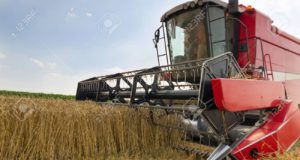 San Luis: ya cosecharon el 87% del trigo y el rinde promedio se mantiene alto
