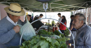 San Luis: “Sol Puntano” vuelve este jueves con sus ofertas en frutas, verduras y carnes