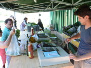 San Luis: la Feria de Sol Puntano sumó sus primeras frutas y vinos elaborados en bodega propia