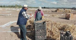 El RENATRE fiscalizó condiciones laborales y de registración de trabajadores rurales en Mendoza, Córdoba, San Luis y Buenos Aires