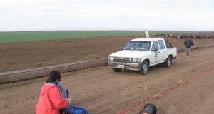 Contaminación en feedlots: del corral a las napas