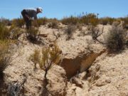 El cambio climático amenaza a las regiones secas