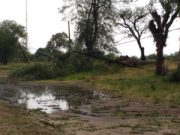 San Luis: una fuerte tormenta dejó sin energía eléctrica y causó destrozos en Anchorena