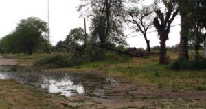 San Luis: una fuerte tormenta dejó sin energía eléctrica y causó destrozos en Anchorena