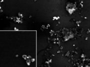 El universo ‘nano’ prepara su desembarco en el agro