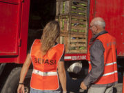 Verifican en las rutas que el transporte de productos vegetales sea con DTV