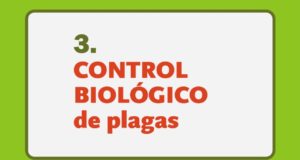 Día Mundial del Suelo: existen prácticas para cultivarlos sin dejar de protegerlos