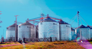 El campo no pudo contar con los bancos para financiarse