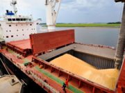 Argelia rechazó un barco argentino cargado con trigo