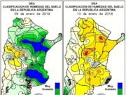 Se estiman 44 M Tn para el maíz 2018/19