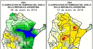 Se estiman 44 M Tn para el maíz 2018/19