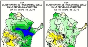 Sojas con más de 700 mm y 185 mil ha que aún esperan sembrarse